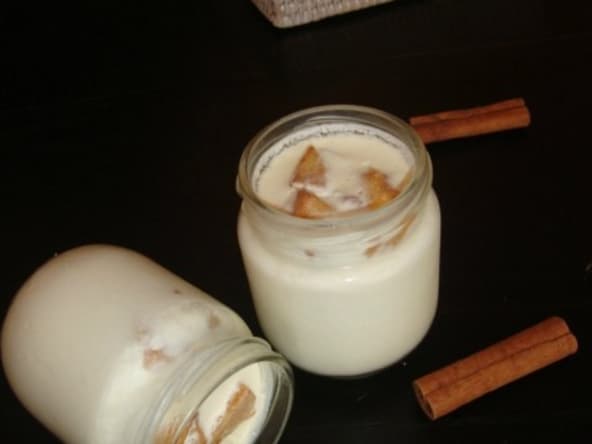 Yaourt pomme et cannelle façon tatin
