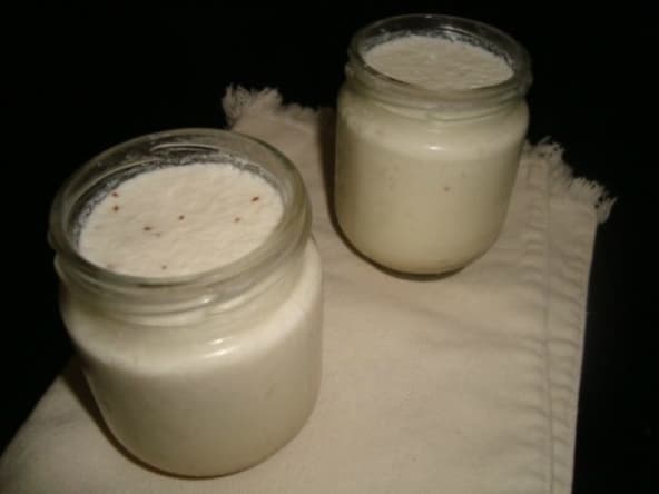 Yaourt à la noix de coco et aux pépites de chocolat,lait de coco.