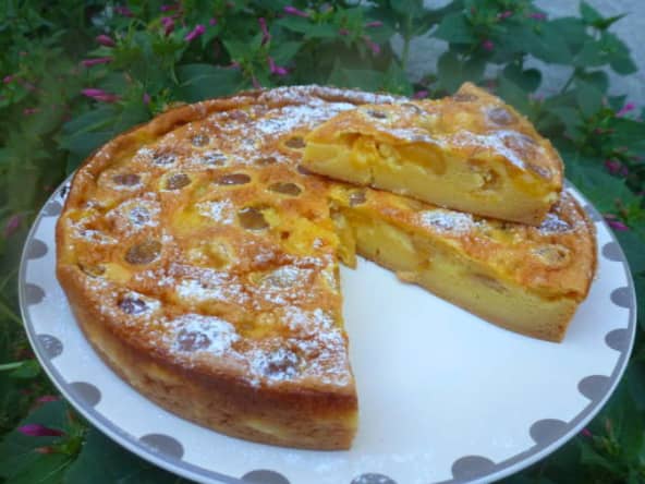 Tôt-fait aux mirabelles Weight Watchers