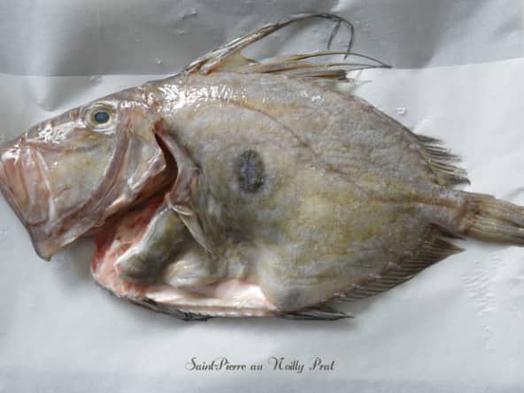 Saint Pierre au Noilly Prat au four