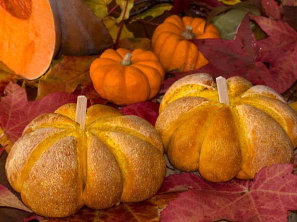 Pain citrouille, Pumpkin bread