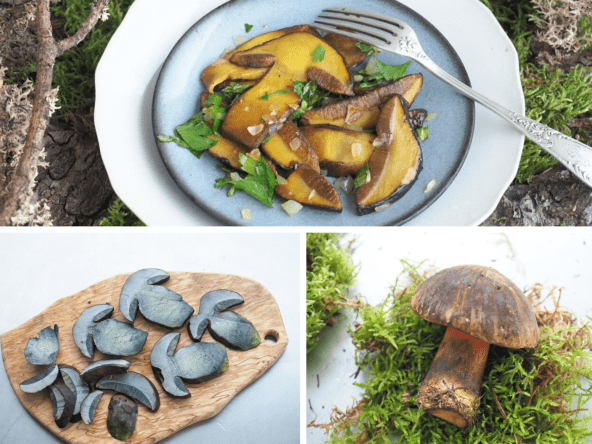 Poêlée de champignons bolet à pied rouge