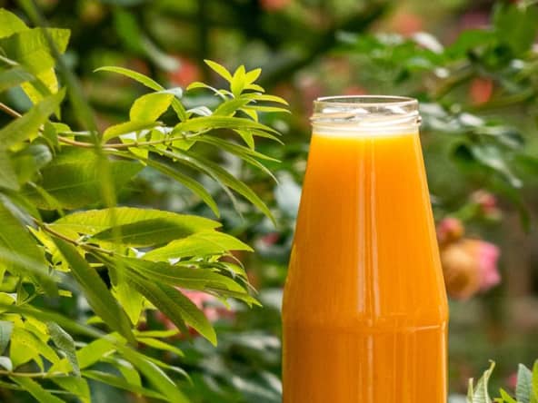 Soupe vegan butternut rôtie au sirop d’érable et lait de coco