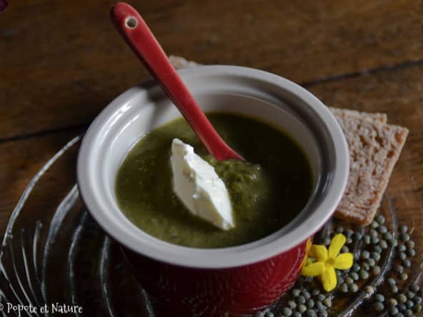 Soupe de fanes de radis aux lentilles
