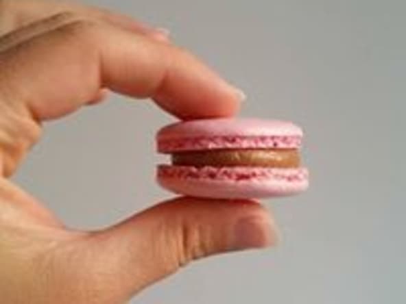 Recette du biscuit cuillère