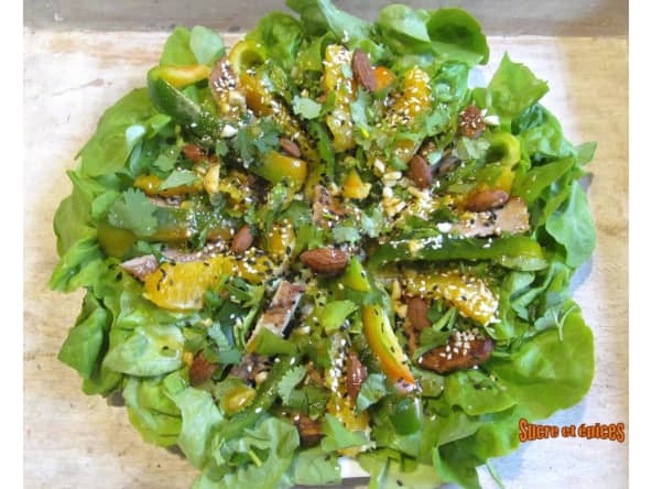 Salade à la viande grillée, au poivron et à l'orange