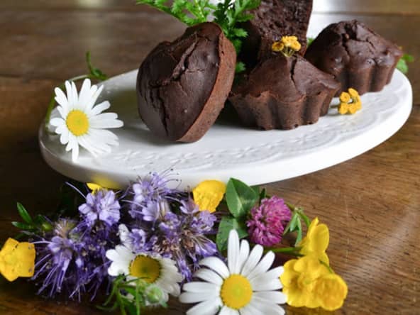 Muffins au chocolat parfumés à la tanaisie