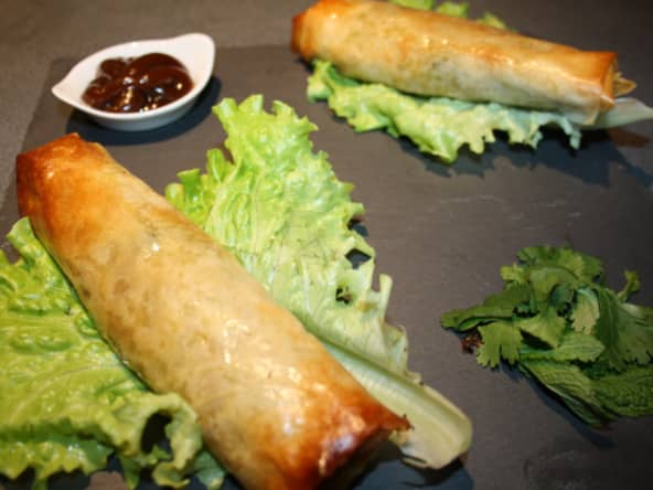 Nems au confit de canard et sa sauce hoisin