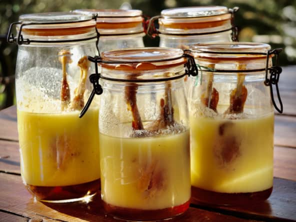 Confit de canard de ma maman