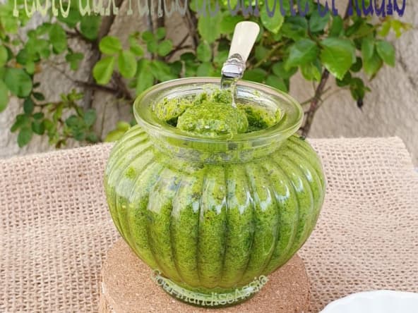 Pesto aux Fanes de Carottes et Radis