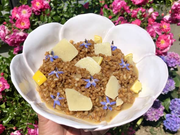 Risotto de petit épeautre