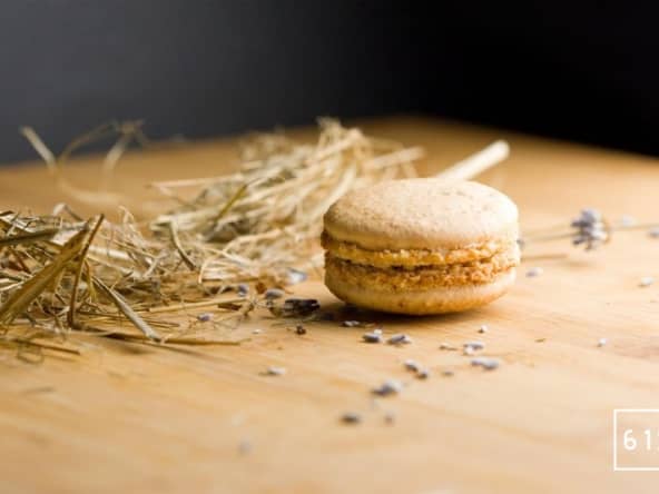 Macaron à la cacahuète, à la mousse de foie et à la lavande