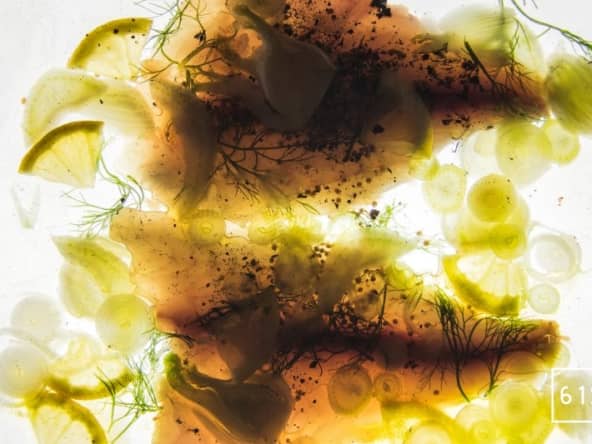 Filets de dorade royale sous vide au fenouil