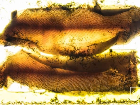 Filets de truite du Jura parfumés à l’absinthe