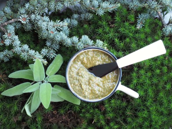 Pesto de sauge maison super facile 