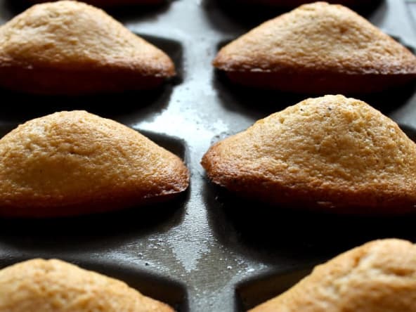 Madeleines à la farine de châtaigne, huile de noix et aquafaba
