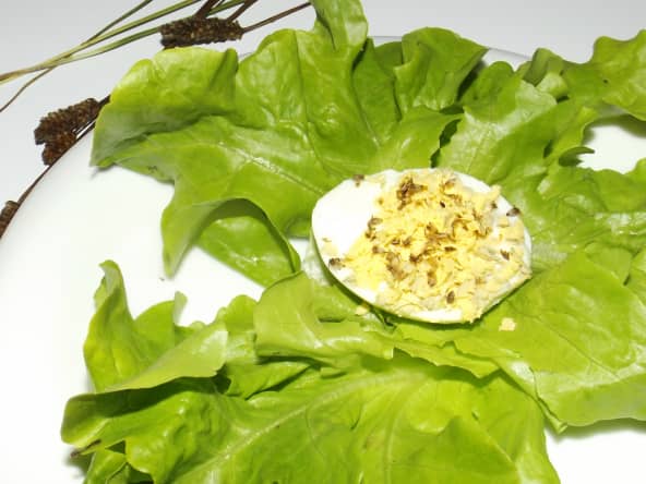 Oeufs mimosa au pesto de plantain