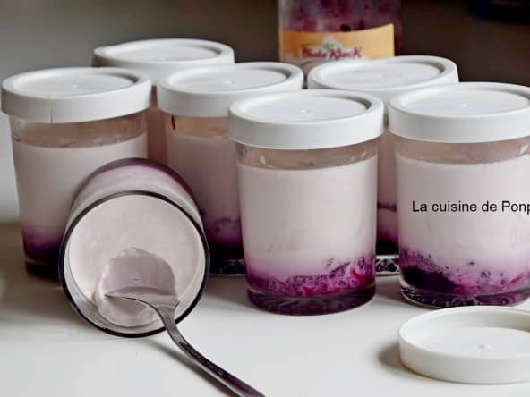 Yaourt à la confiture de myrtilles sauvages