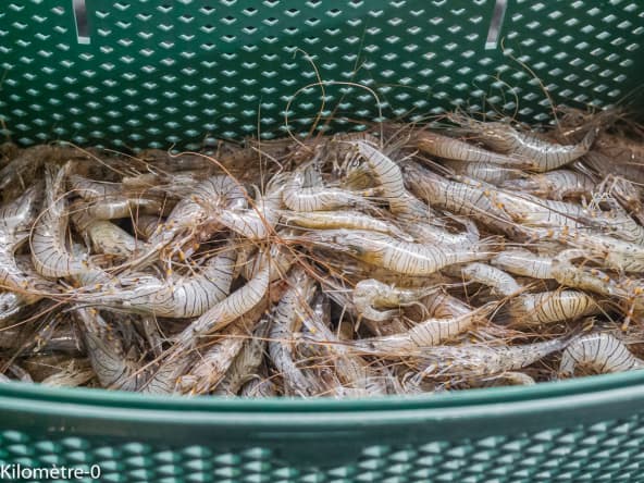 Cuisson des crevettes au four vapeur