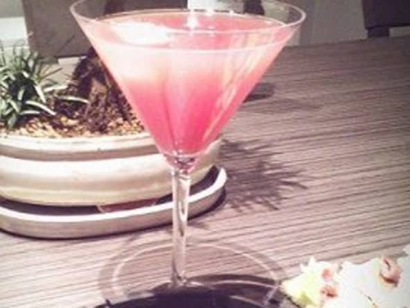 Cocktail Nana's dream vodka, Malibu, orange, canneberge et citron