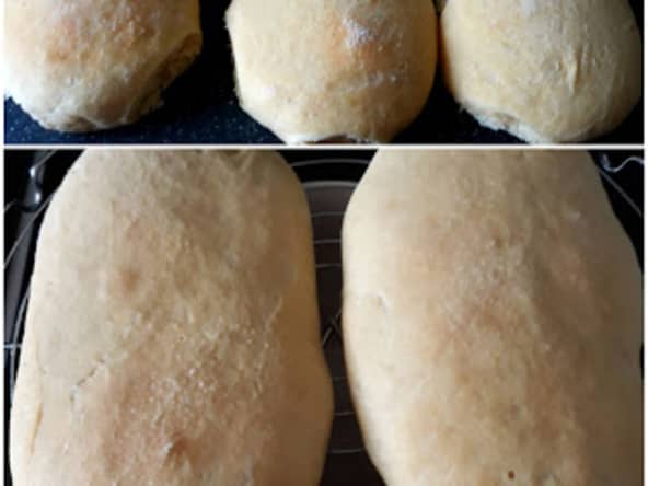 Faluche ch'tis ou paninis