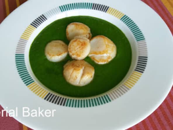 Coquilles St Jacques sur crème de cresson