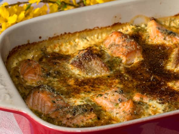 Gratin d’endives et saumon frais, sauce crémée au curry