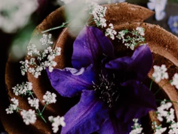 Bundt cake Chocolat orange