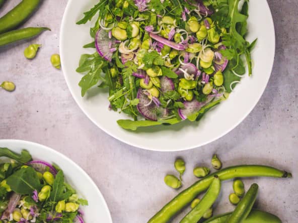 Salade composée de févettes du pays, roquette, cébettes, radis red meat, cerfeuil, fleurs de ciboulette