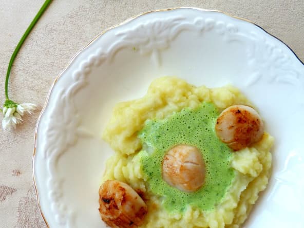 Saint jacques juste snackées et sauce à  l'ail des ours