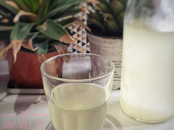 Tepache maison, boisson fermentée à l'ananas