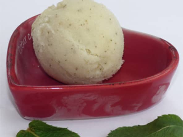 Sorbet Mojito (menthe, citron, rhum)