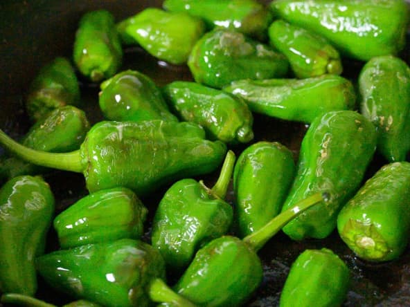 Pimientos de Padrón frits