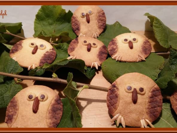 Biscuits sablés chouette pour halloween