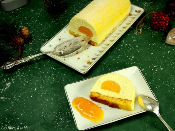 Bûche de noël coco mangue passion