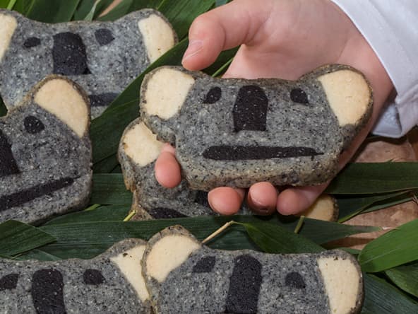 Biscuits koalas