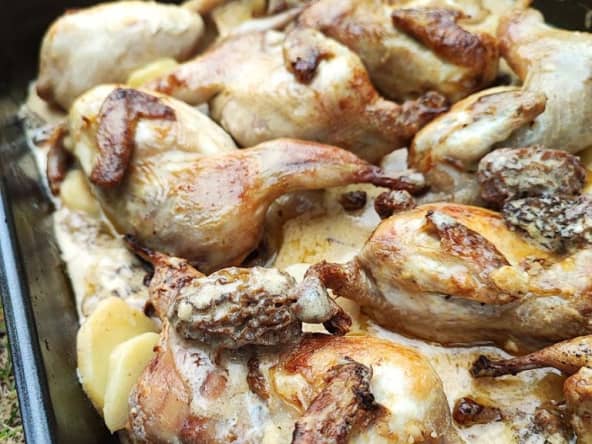 Cailles rôtis au vin jaune et morilles pour les fêtes