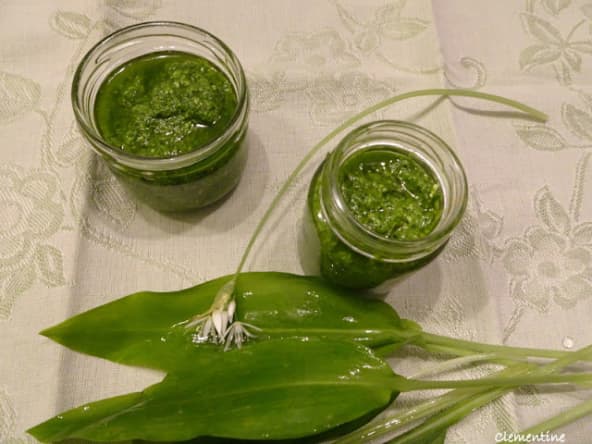 Pesto d'ail des ours