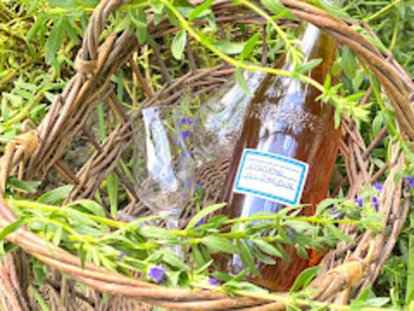 Liqueur d’hysope officinale