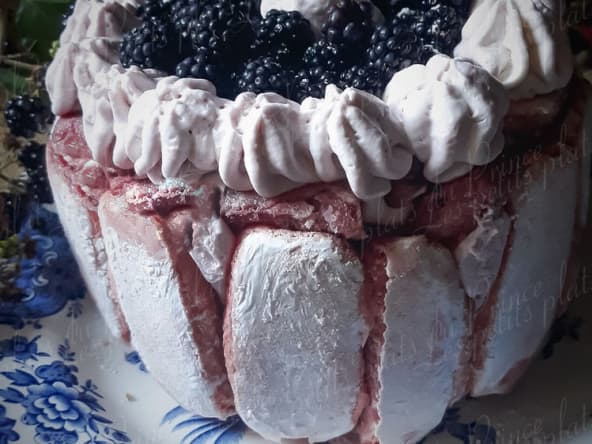 Charlotte aux mûres sauvages