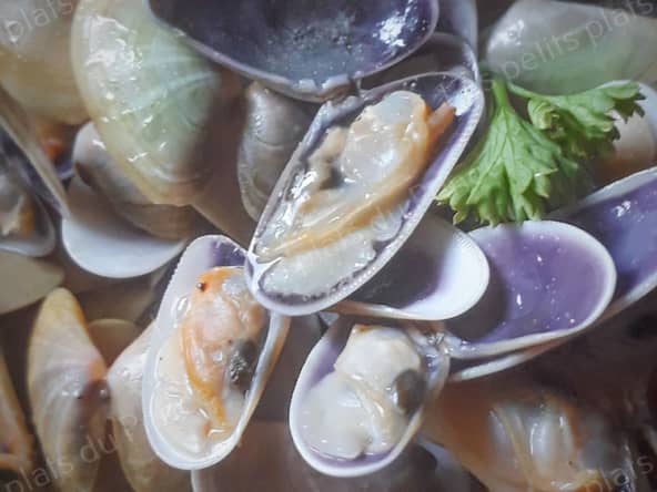 Coquillages Tellines en marinière