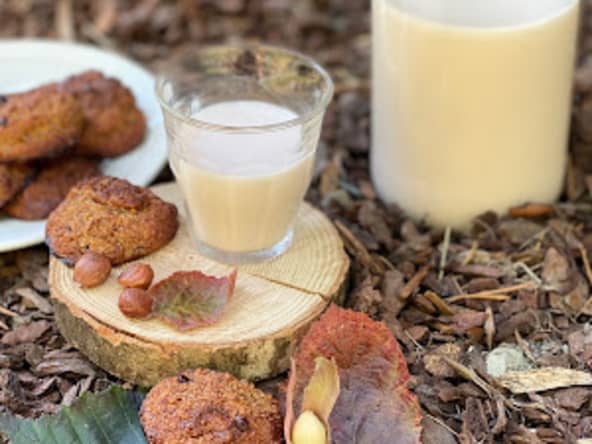 Boisson végétale aux noisettes et ses petits rochers à l’okara