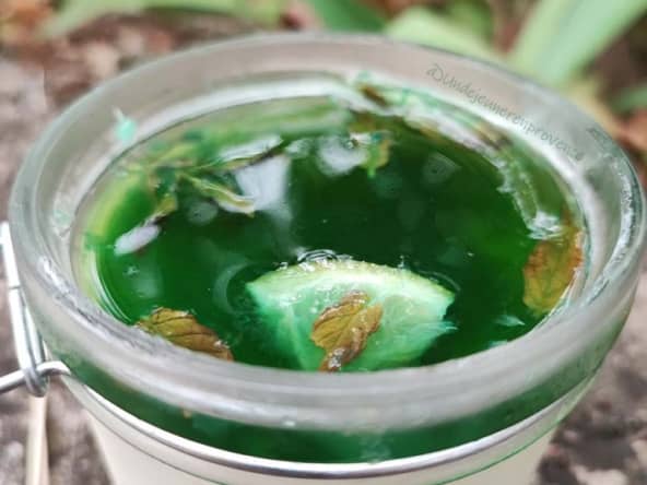 Panna cotta Mojito menthe, sucre roux et citron vert