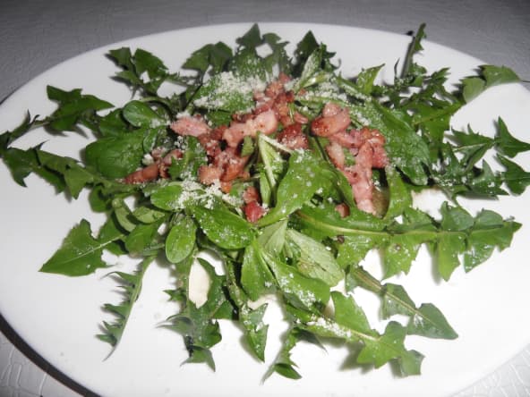 Salade toute simple de pissenlit et de mâches sauvages aux lardons