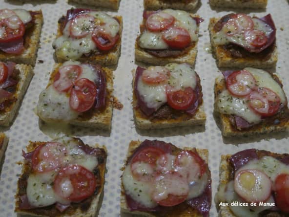 Toasts chauds à la coppa et fromage comté