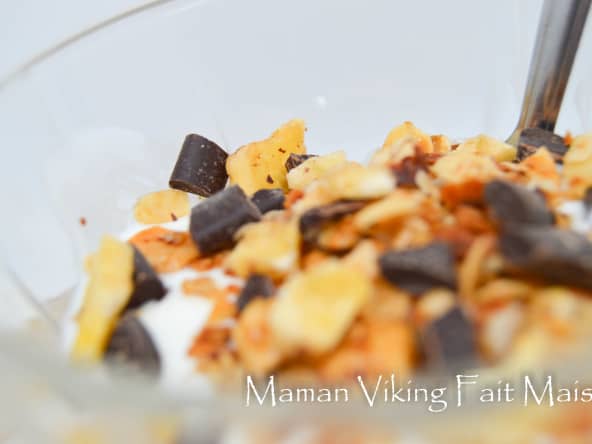 Muesli choco banane healthy l'Actifry 