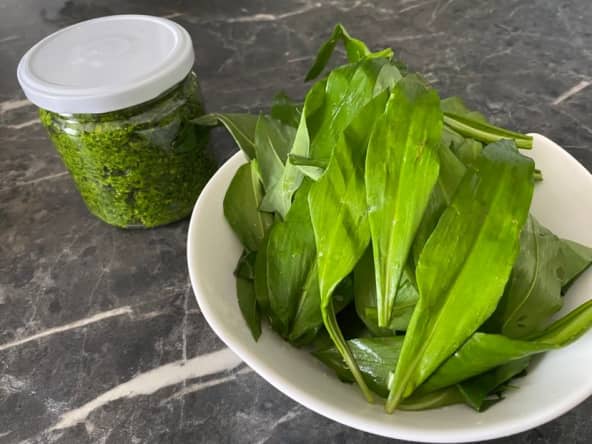 Pesto à l'ail des ours pour parfumer les pâtes