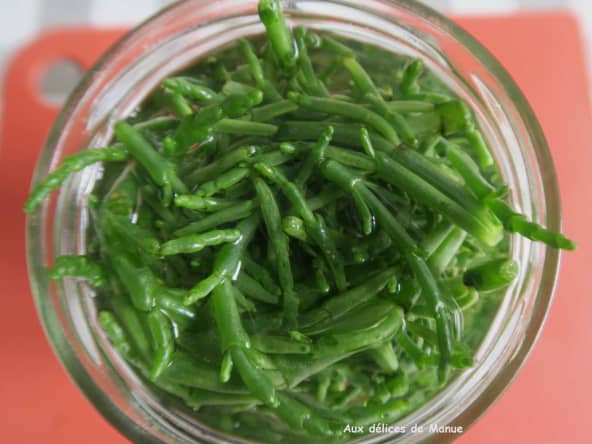 Salicorne en conserve maison