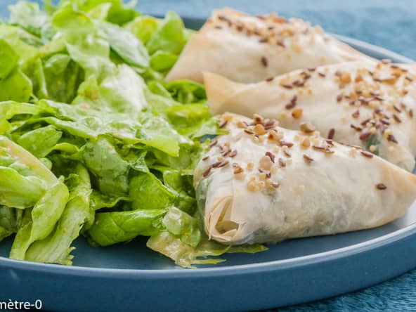 Briks aux épinards, poireaux et fromage (chèvre et emmental)