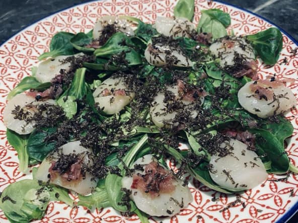 Saint-Jacques, mâche et truffe noire par Alain Ducasse